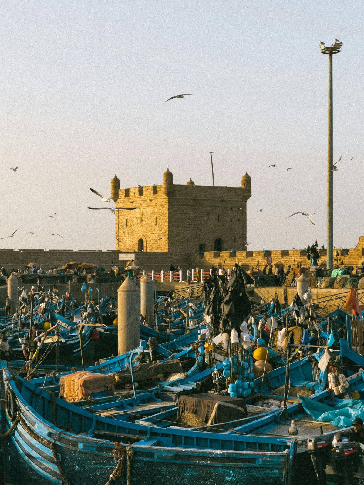Riads et Maisons Essaouira